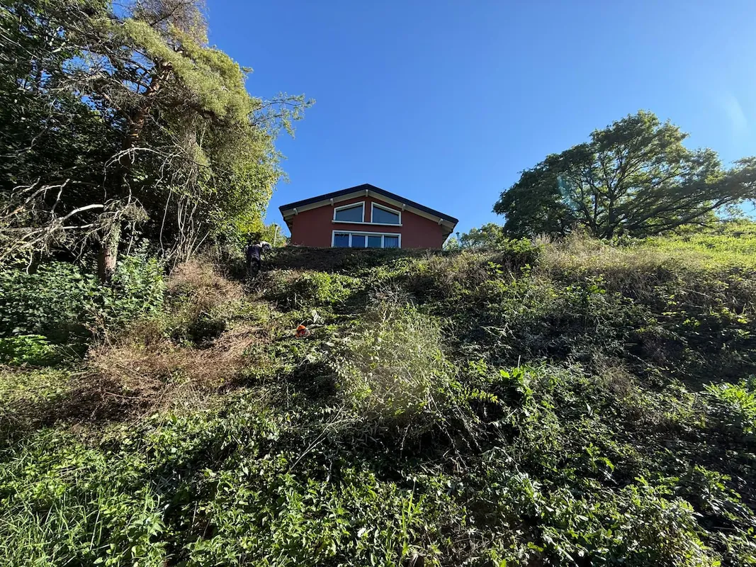 Entretien de propriété - Vue extérieure