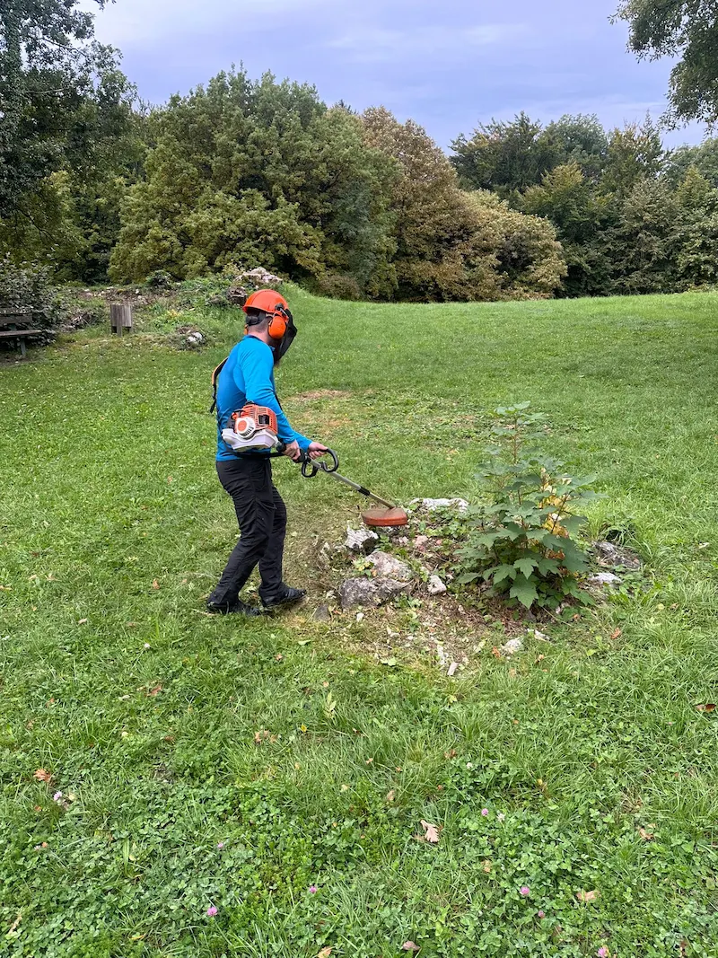 Entretien de jardin professionnel