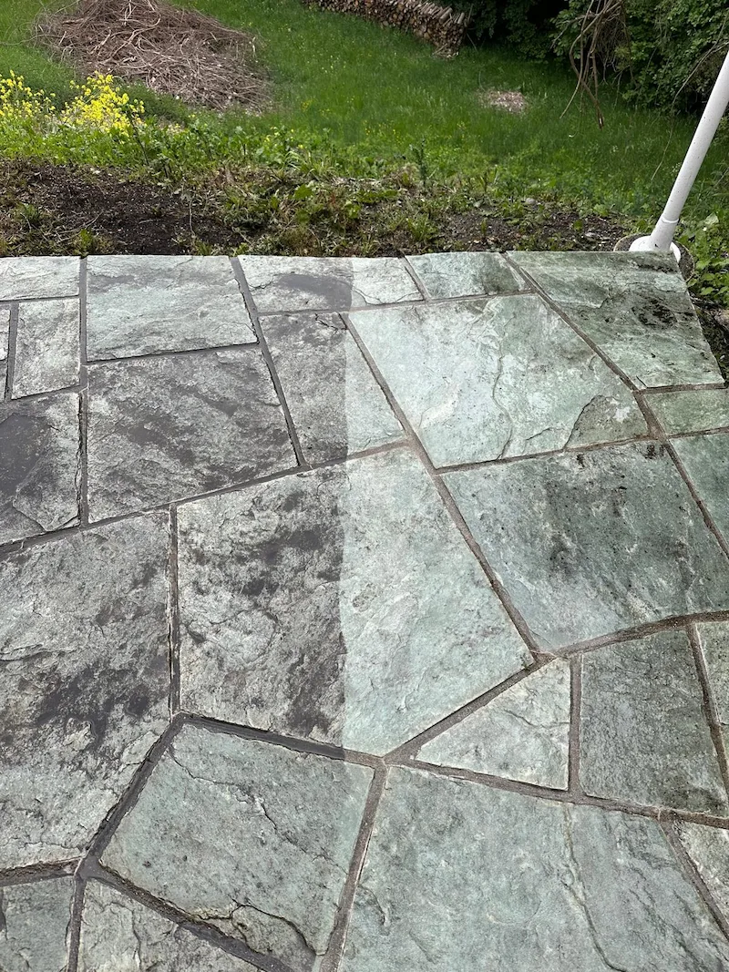 Terrasse avant nettoyage